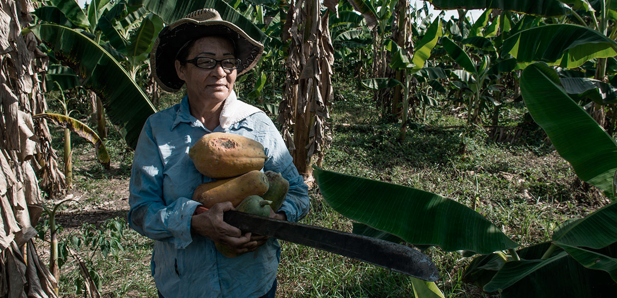 En el exilio en la vecina Venezuela, Oneida continúa cultivando papayas y plátanos, como cuando era niña en el municipio de Tibú. Foto por Camilo Ara.