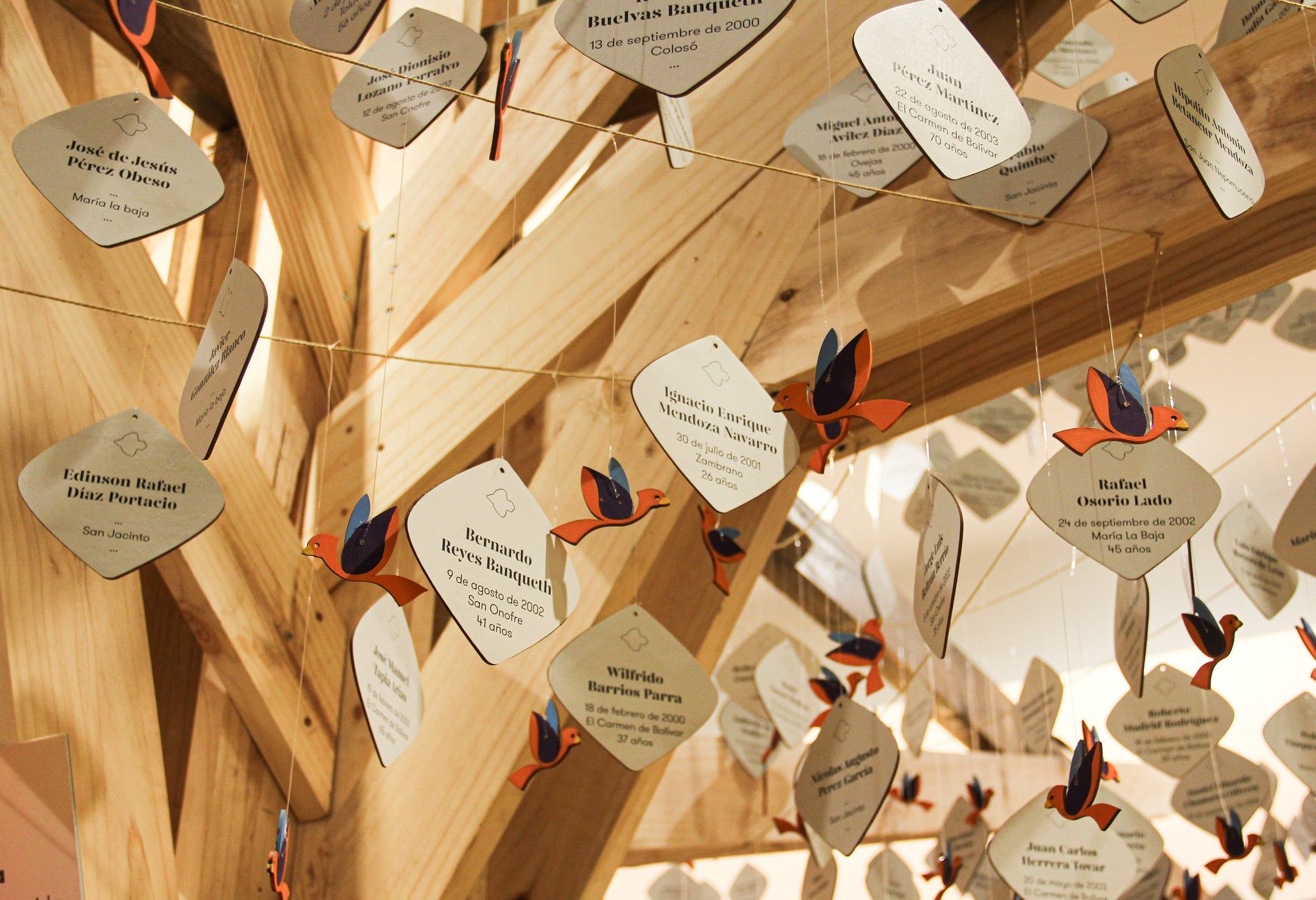 El mochuelo vuela hacia Bogotá