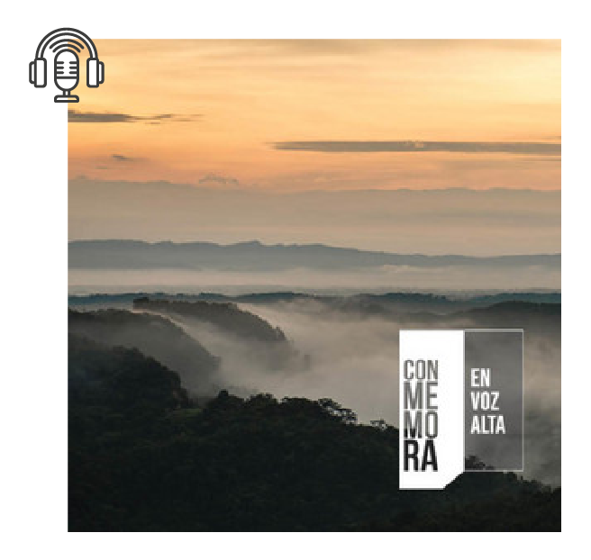 Catatumbo, la Arremetida Paramilitar.