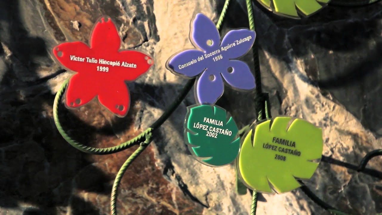 Las historias de desolación y resistencia en San Carlos, Antioquia