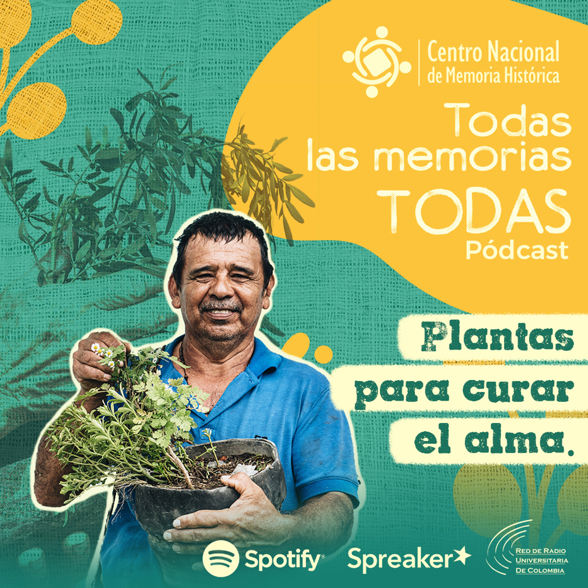 Plantas para curar el alma