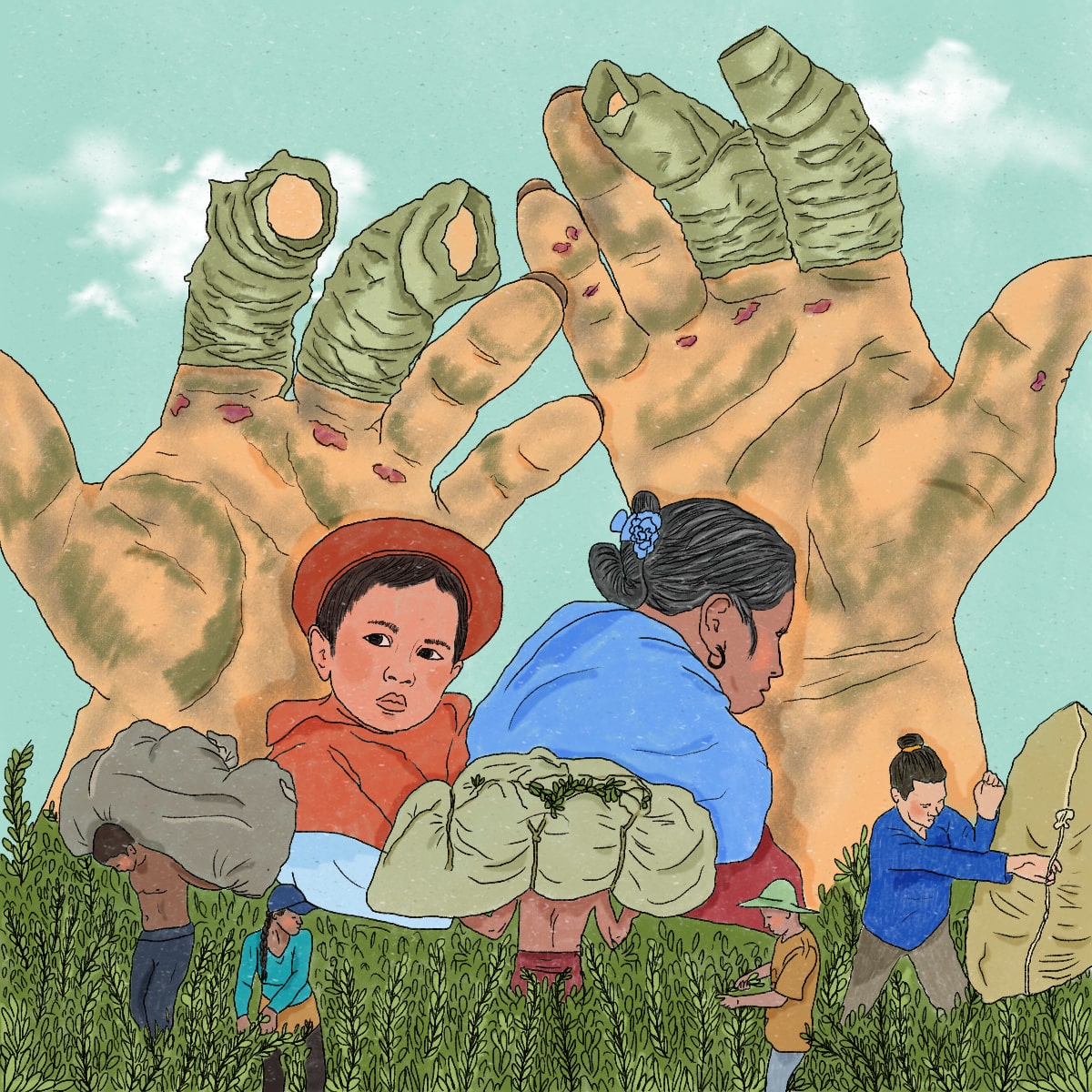 Tierra que recoge sufrimiento, manos que raspan coca