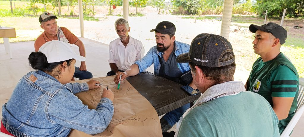 «Festival de la vida»: una iniciativa de resistencia en La Gabarra