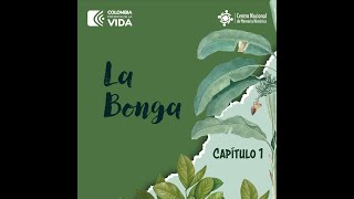 Informe