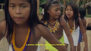 Informe