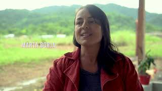 Informe